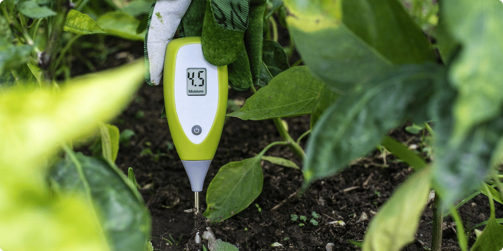 Conseils pour optimiser l'utilisation d'un testeur d'humidité