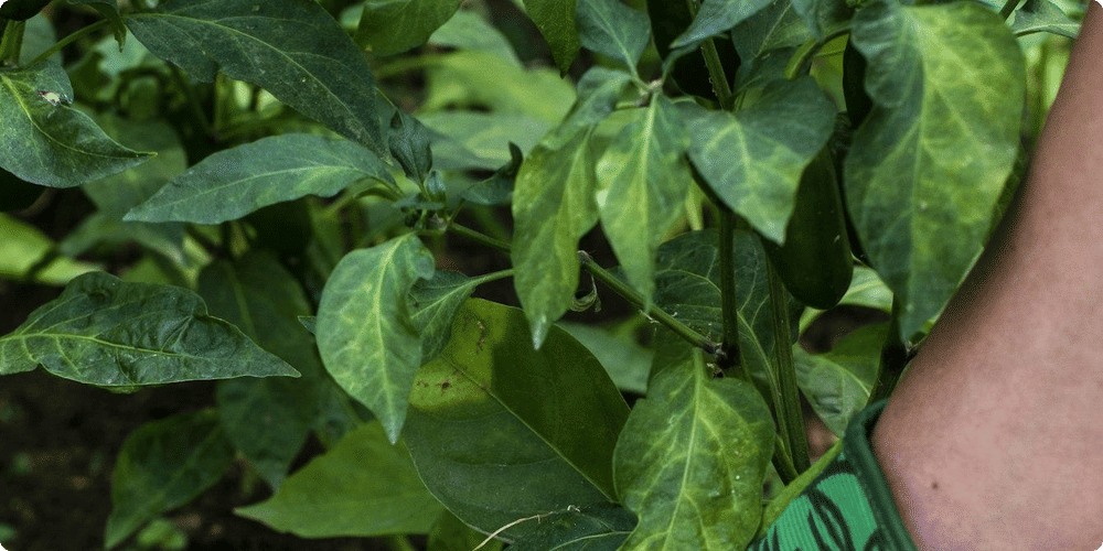 Optimiser votre confort avec les testeurs d'humidité
